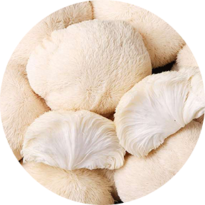 Close-up of a fluffy white pet bed with soft texture